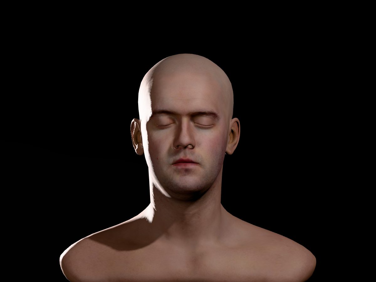 The same head with three-point lighting. One side bright, the other in soft shadow, a rim of light along the back of the head.